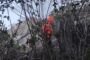 Bombeiros fazem busca por homem que desapareceu há 10 dias em serra na cidade de Maravilha, AL