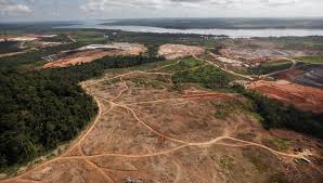 'Péssimos, horrorosos', diz Mourão sobre dados de alerta de desmatamento na Amazônia em abril