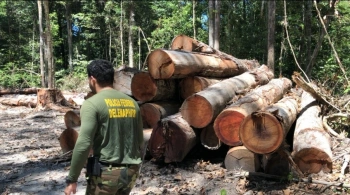 Acordo global para preservação da biodiversidade traz avanços, diz especialista