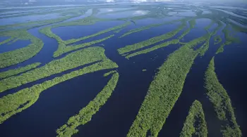 Retomada do Fundo Amazônia é vital para combater desmatamento, diz especialista