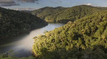 Proteção da Mata Atlântica recebe reconhecimento da ONU
