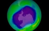 Camada de ozônio deve se recuperar completamente nas próximas décadas