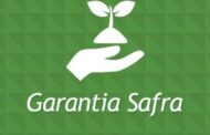 Veja as cidades de Alagoas cujo pagamento do Garantia-Safra foi autorizado aos agricultores