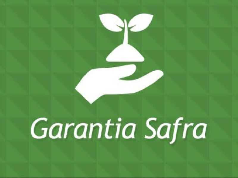 Veja as cidades de Alagoas cujo pagamento do Garantia-Safra foi autorizado aos agricultores