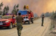 Sobe para 22 número de mortes por incêndios florestais no Chile