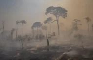 Área de florestas queimadas quase dobra em 1 ano, diz MapBiomas