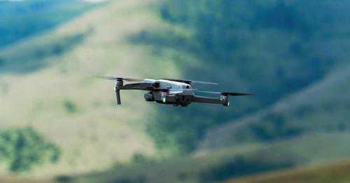 Drone morcego: cientistas criam robô voador capaz de encontrar pessoas perdidas