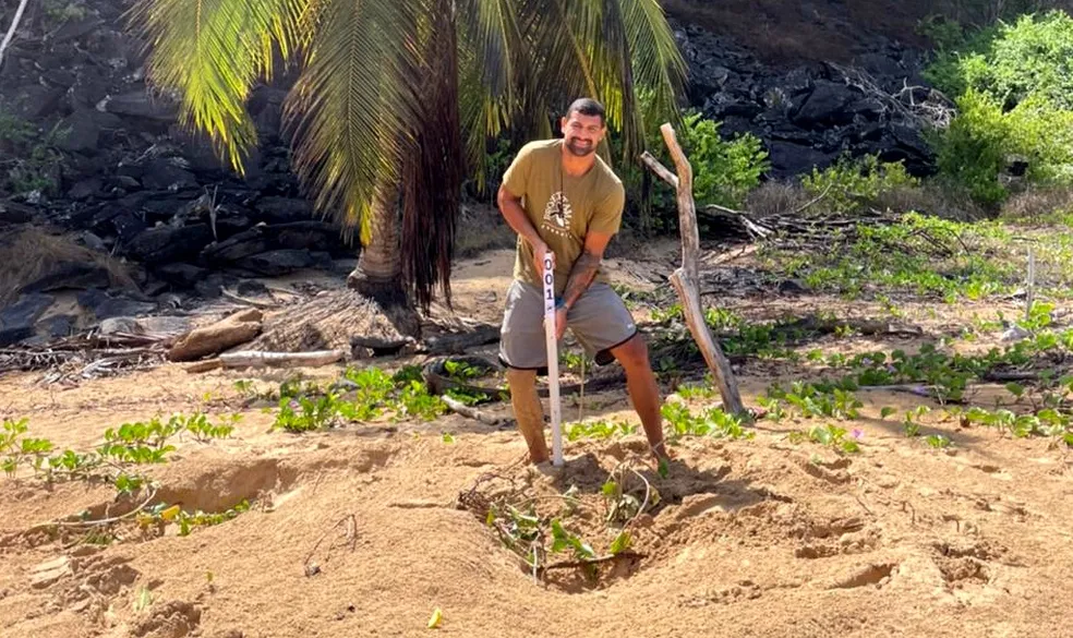 Começa temporada de reprodução das tartarugas em Fernando de Noronha