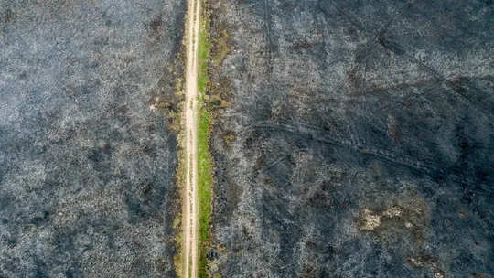 Paulo César Vinha: incêndio que devastou 555 hectares de área de preservação no ES foi provocado por ação humana, concluem bombeiros