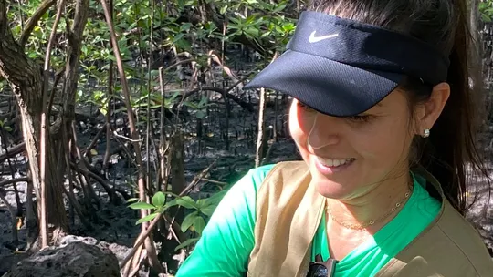 Andada do caranguejo-uçá começa e captura fica proibida em Aracruz; veja outras datas do governo do ES