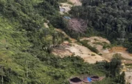 Alertas de desmatamento na Amazônia têm pior fevereiro da série histórica, aponta Inpe