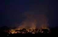 Governo declara emergência ambiental em várias regiões por risco de incêndios florestais