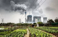 Descarbonização das cidades: KPMG aponta 5 etapas para redução das emissões de CO2