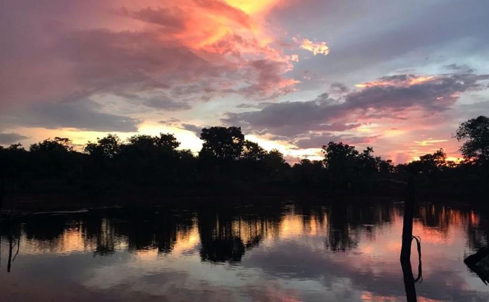 Dia Mundial da Água: Cerrado pode perder quase 34% da água até 2050