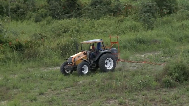 Produtores de cana de AL calculam prejuízo de R$ 340 milhões por causa do excesso de chuva no estado