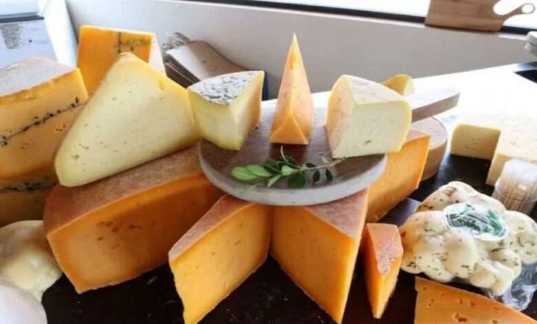 Governo paulista afasta fiscal que destruiu produção em queijaria artesanal