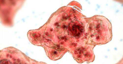 Ameba comedora de cérebro mata homem que lavou nariz com água da torneira