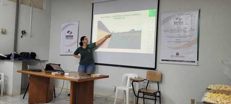 São Paulo intensifica ações para prevenir gripe aviária em granjas