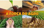 Guerra de Lula contra o agro pode quebrar o Brasil e prejudicar a alimentação no mundo