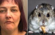Mulher filmada comendo o próprio hamster é condenada à prisão