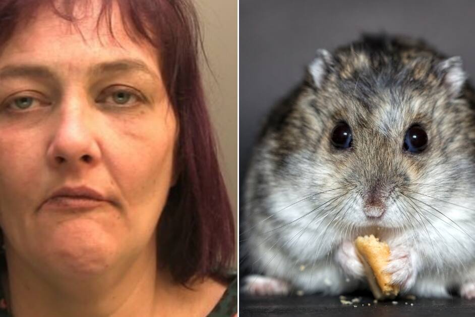 Mulher filmada comendo o próprio hamster é condenada à prisão