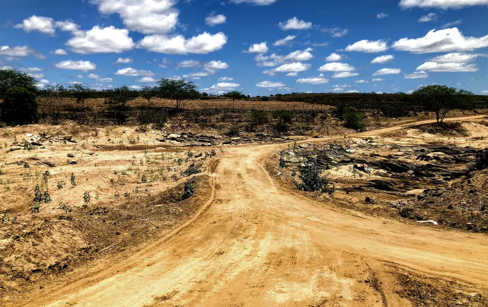 Situação de emergência por causa da seca em 24 cidades de Alagoas é reconhecida pelo Governo Federal