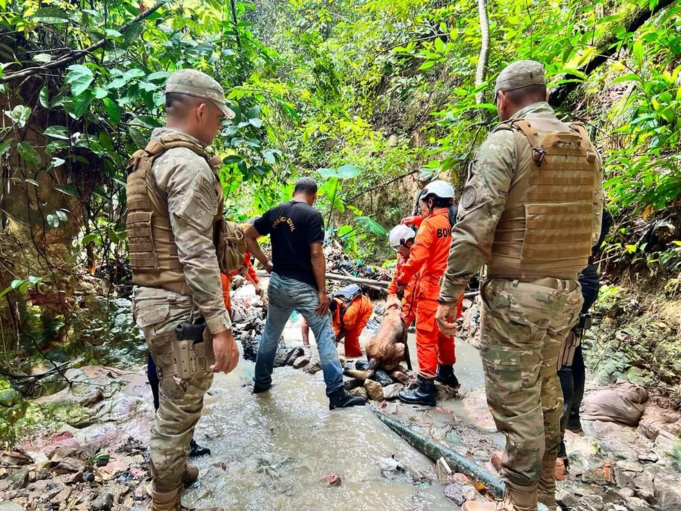 Jovem confessa ter matado idoso em União dos Palmares, AL, por causa de distribuição de água