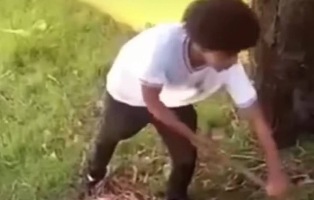 Absurdo: Professor humilha e coloca aluno de escola pública para limpar mato só por ele ter votado em Bolsonaro; VEJA VÍDEO