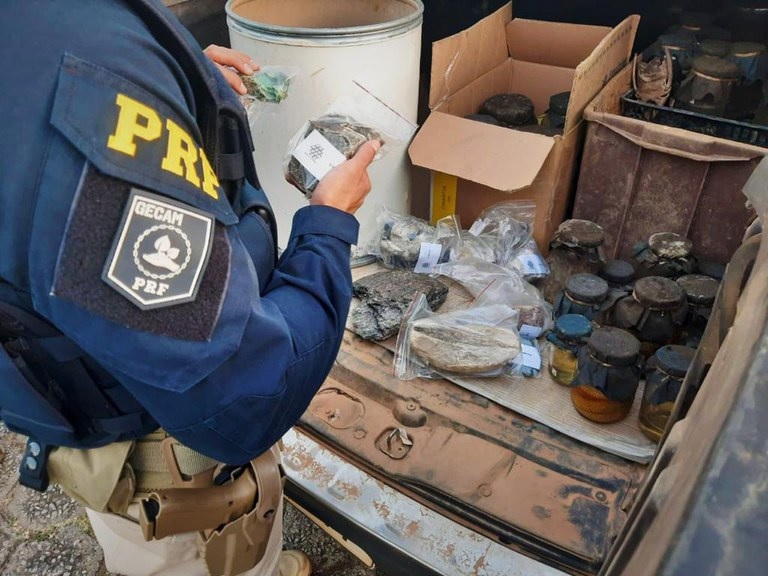 PRF apreende fósseis de animais, rochas e serpentes na Fernão Dias