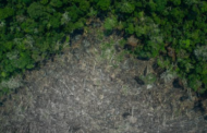 INPE|DESMATAMENTO NA AMAZÔNIA AUMENTA SENDO O 3º MAIOR PARA O MÊS DESDE 2016