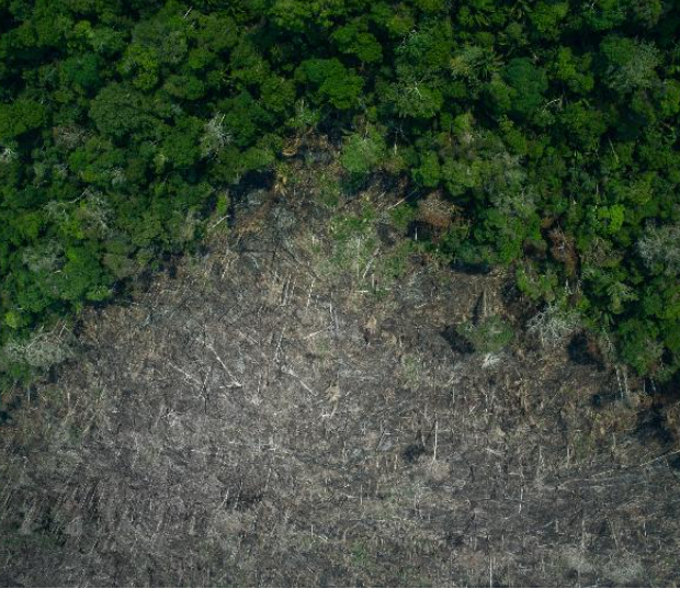 INPE|DESMATAMENTO NA AMAZÔNIA AUMENTA SENDO O 3º MAIOR PARA O MÊS DESDE 2016