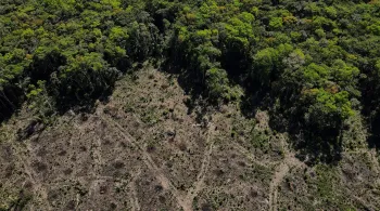 Biden vai anunciar US$ 500 milhões para Fundo Amazônia, diz Casa Branca