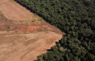 Projeto da bancada ruralista contrapõe UE e pode criar barreiras por reciprocidade ambiental