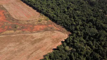 Projeto da bancada ruralista contrapõe UE e pode criar barreiras por reciprocidade ambiental