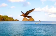Semana do Meio Ambiente em Fernando de Noronha tem atrações gratuitas; confira programação