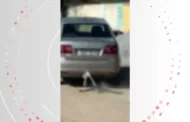 Motorista arrasta cachorro morto amarrado a carro na Cidade Universitária, Maceió