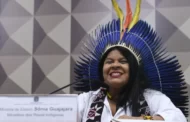 Ministra dos Povos Indígenas defende que AGU se posicione contra a redução do Parque Nacional do Jamanxim