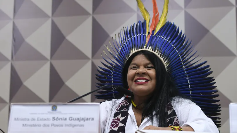 Ministra dos Povos Indígenas defende que AGU se posicione contra a redução do Parque Nacional do Jamanxim