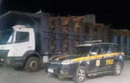 PRF apreende 50 toneladas de madeira transportadas sem nota fiscal em Novo Lino, AL