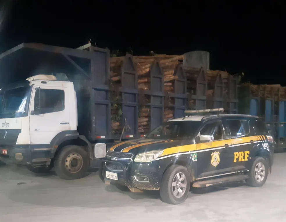 PRF apreende 50 toneladas de madeira transportadas sem nota fiscal em Novo Lino, AL