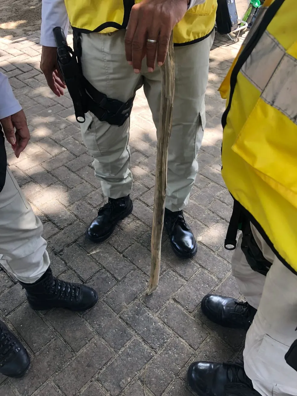 Mulher é presa por bater no filho de 3 anos com pedaço de madeira em Maceió