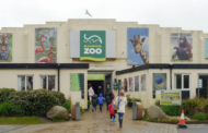 Zoológico procura pessoas para se fantasiar de pássaro e afugentar gaivotas