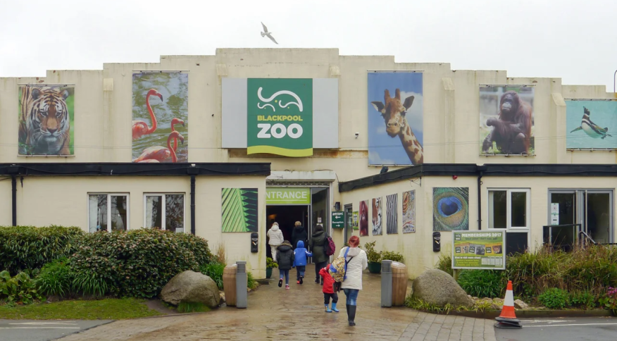 Zoológico procura pessoas para se fantasiar de pássaro e afugentar gaivotas