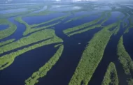 Fundo global fará reunião inédita em Brasília para destinar US$ 1,4 bilhão ao meio ambiente