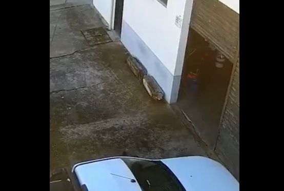 Veja novas imagens assustadores dos tremores que aconteceram em São Paulo; ASSISTA AO VÍDEO
