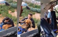 Helicóptero resgata morador e cachorro ilhados após ciclone no RS; VEJA VÍDEO