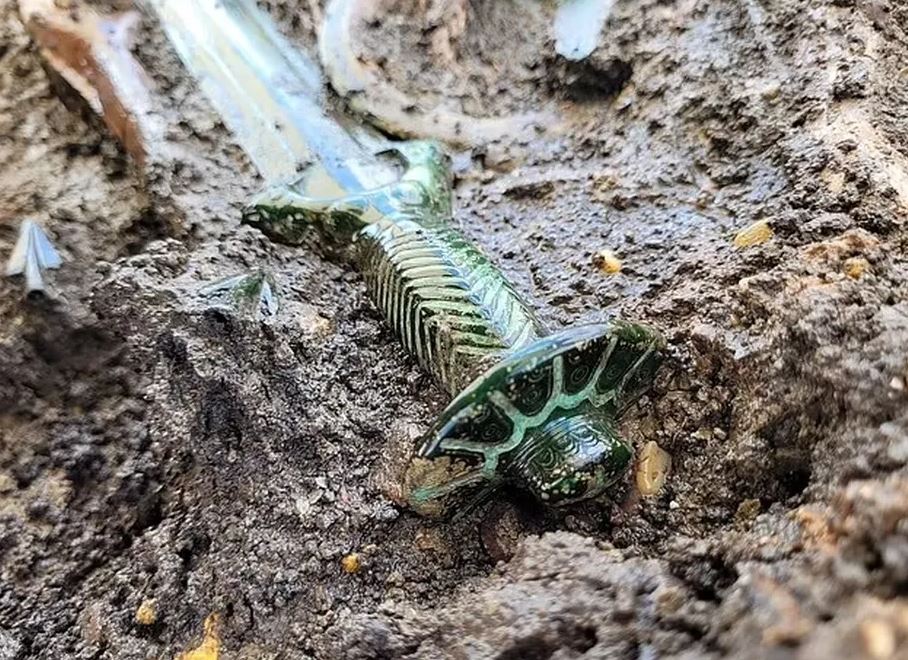 Espada de 3 mil anos é encontrada intacta na Alemanha e impressiona arqueólogos; VEJA IMAGENS