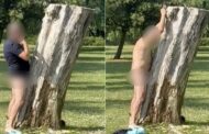 Homem é preso ao ser flagrado tendo “relações sexuais” com árvore no meio de parque; VEJA VÍDEO