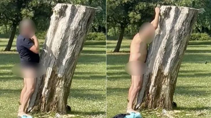 Homem é preso ao ser flagrado tendo “relações sexuais” com árvore no meio de parque; VEJA VÍDEO