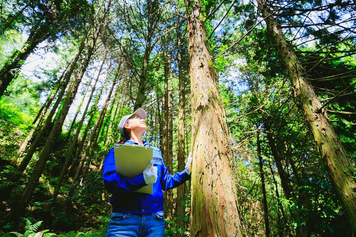 Secretária anuncia concurso Cetesb SP 2023 com mais de 200 vagas